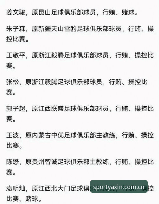 中国足球重磅罚单深度评测：亚新体育官网老用户带你复盘第三批禁足名单
